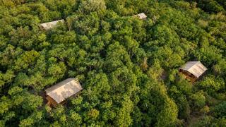 Campizo Glamping - Monterrey X NANTLI LIVING - 5