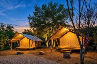 Campizo Glamping - Monterrey X NANTLI LIVING - 2