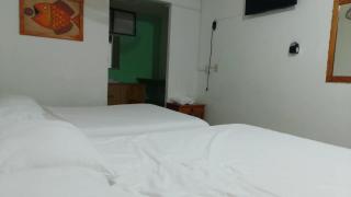 Hotel las palmas - 2