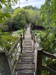 Island Retreat Indio Lake Newton Road Bovey Tracey Devon TQ13 9DY - 3
