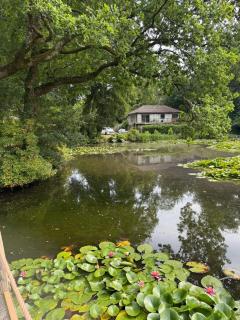 Island Retreat Indio Lake Newton Road Bovey Tracey Devon TQ13 9DY - 2