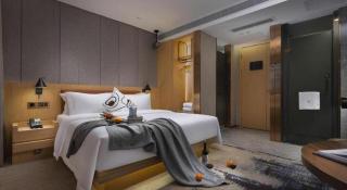 Laika Hotel Huanshi East Road - 3