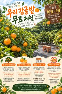 Haenarr Hanok Stay in Mandarin Orchard, 100m from Sea - 9