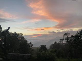 Jaurasi Forest Club - 9