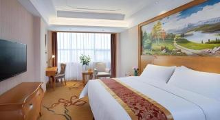 Vienna Hotel Shenzhen Pingdi Huancheng South Road - 5