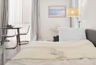 1 BR Oceanside Apartment - Pet Friendly - 7