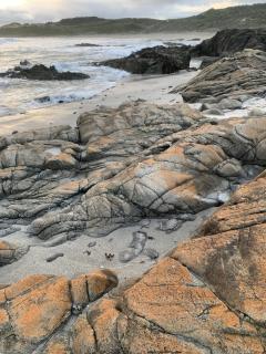 Olearia - Oceanfront Nature Escape King Island - 1