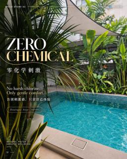 Jonker Street New Cozy Home 20pax Swimming Pool Karaoke - Malacca - 3