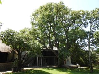 Kruger Foothills Lodge - Near Kruger National Park - 8
