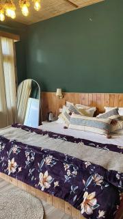 Shanay Hostel & Cafe - 7
