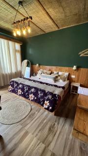 Shanay Hostel & Cafe - 6