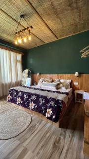 Shanay Hostel & Cafe - 5