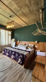 Shanay Hostel & Cafe - 4