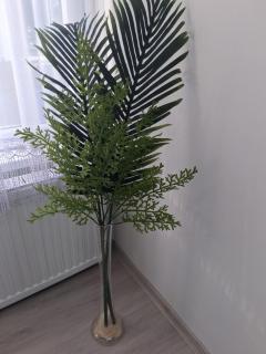 Zenit Apartman - 1