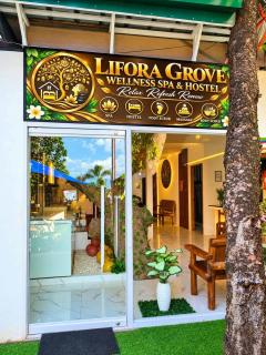 Lifora Grove Hostel and spa - 7