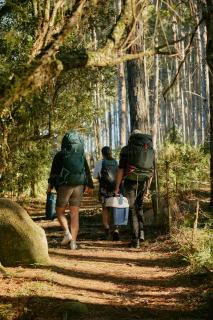 Misty Camp by The Cottage Ambewela - Ultimate Slow Living Experience - 9