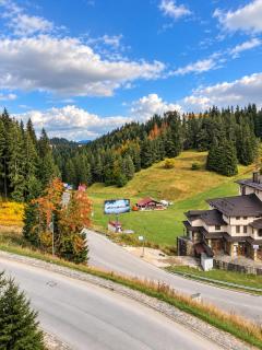 Апартамент Пампорово Палас - Pamporovo Palace - 9
