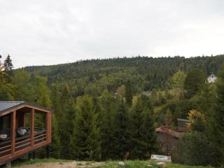 Drozdovichi Resort - 9