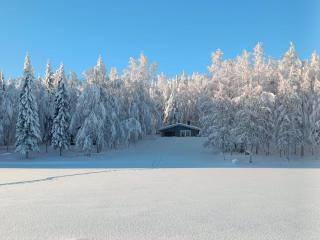 Hideaway cottage - 0