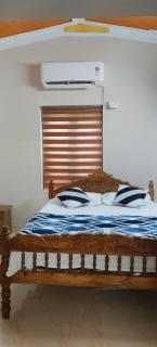 Hanees Homestay - 0