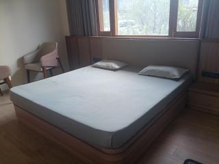 Manali Wisdom - 7
