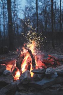 Misty Camp by The Cottage Ambewela - Ultimate Slow Living Experience - 6
