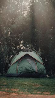 Misty Camp by The Cottage Ambewela - Ultimate Slow Living Experience - 5