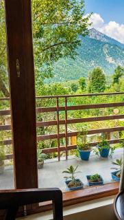 Manali Wisdom - 8