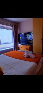 Entire 2bed apartment - 0