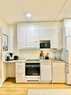 Aurora City Studio Njalla - 9