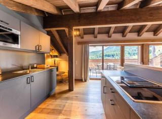 Four Bedroom Apartment Schlosskopf - 2