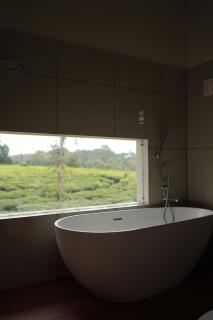 Mogra - 1