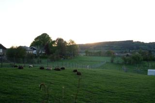 Appartement voor Gezin Ardennen The Moon Valley - 3