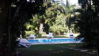 Bungalow Natura Village - 7