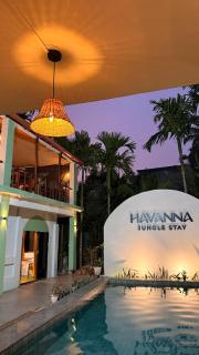 Havanna - The Jungle Stay, South Goa ed - 9