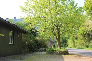 Pension Hinrichs - 2