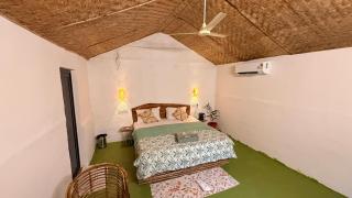 Havanna - The Jungle Stay, South Goa ed - 1