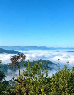 Binsar Jungle House Home Stay- A Binsar Forest Retreat - 2