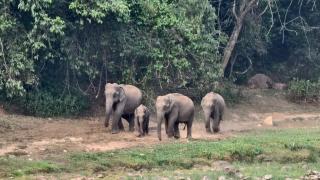 Anugraha Homestay Munnar Private Farm House - 6
