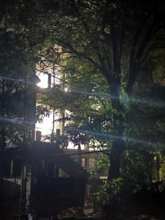 Risong Family Guest House - 4