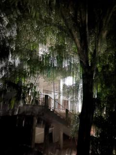 Risong Family Guest House - 3
