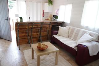 Tiny house met Coldtub 4pers The Firefly - 6