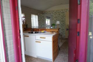 Tiny house met Coldtub 4pers The Firefly - 9