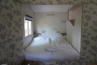 Tiny house met Coldtub 4pers The Firefly - 3