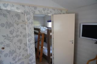 Tiny house met Coldtub 4pers The Firefly - 1