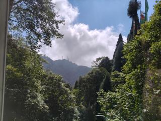 Batasay Blues- Pine View Retreat - 2