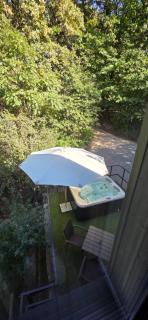 Evergreen Woodhouse - 8