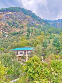 Orchard Cottage - 1