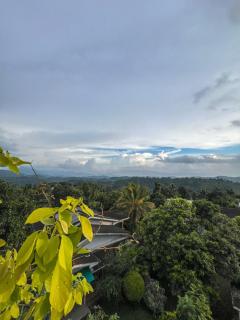 Misty Mountain Lodge - 2