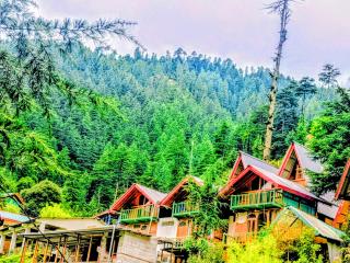 The Royal cottage Jibhi - 0